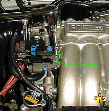 Removing the Wiring Harness