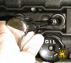 Removing the Spark Plugs